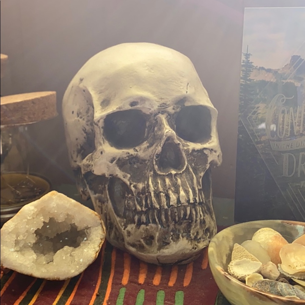 Decorative skull